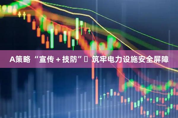 A策略 “宣传+技防”筑牢电力设施安全屏障