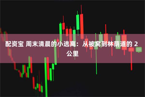 配资宝 周末清晨的小逃离:从被窝到林荫道的 2 公里