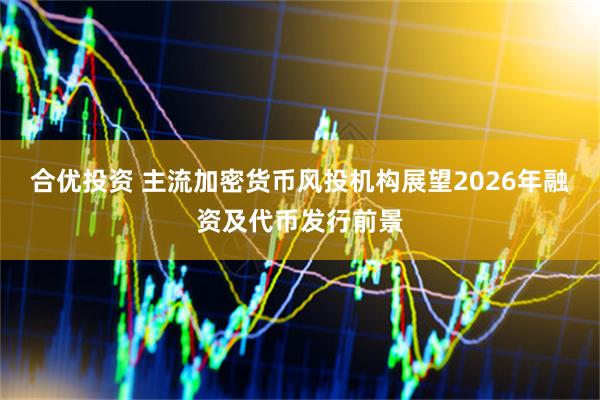 合优投资 主流加密货币风投机构展望2026年融资及代币发行前景